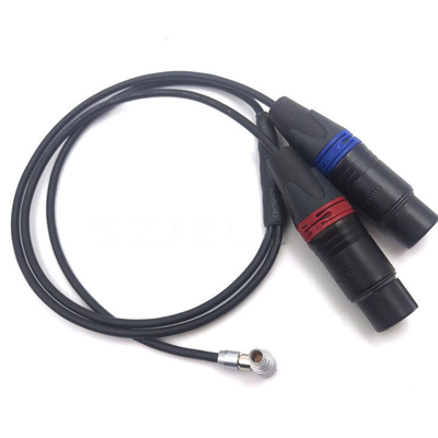 comprare Angolo 00B 5pin di Arri Alexa Mini Audio Cable Lemo Right a 2* femminile XLR 3 Pin Cable fabbricazione online